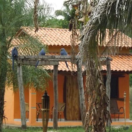 Pousada Reserva Ecologica Jaguar Poconé Exteriör bild
